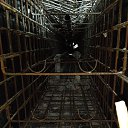 ���� ������, ������, 39 ��� - ��������� 14 ������� 2023 � ������ ���� ����������
