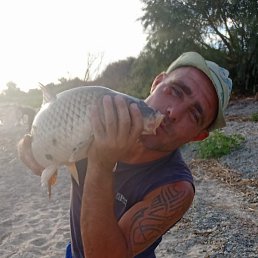 ����, ���������, 37 ���