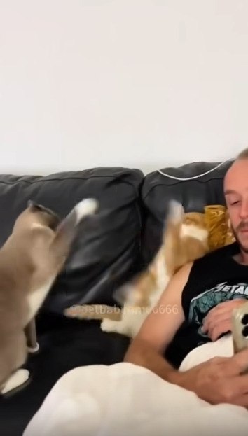 ����� ��������� - 2