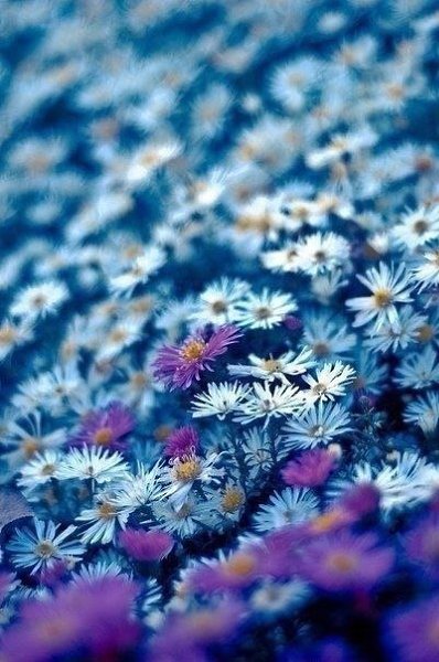 ����� ������� � �������, �� ��� ������������ ��� ����. - 6