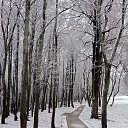 ���� �������, ������ �������� - ��������� 26 ������ 2025 � ������ ������ ��������