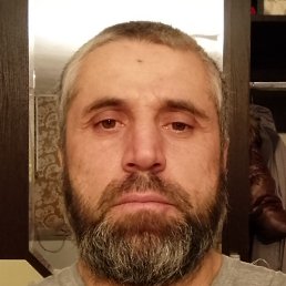 ����, ���������������, 41 ���