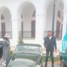 ���������, 40 ���, ���������