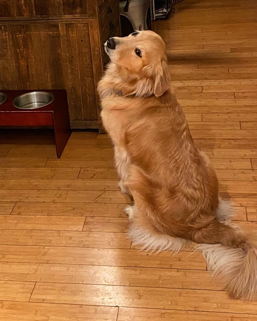 ! !    ,         ... - 9