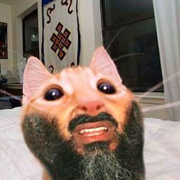 , 24, 