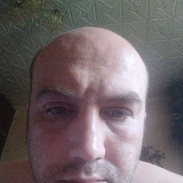 , 39, 