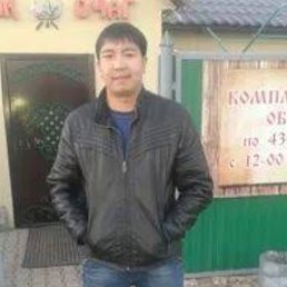, 37, 