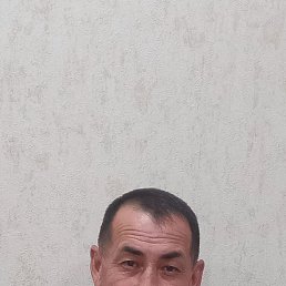 , 52, 