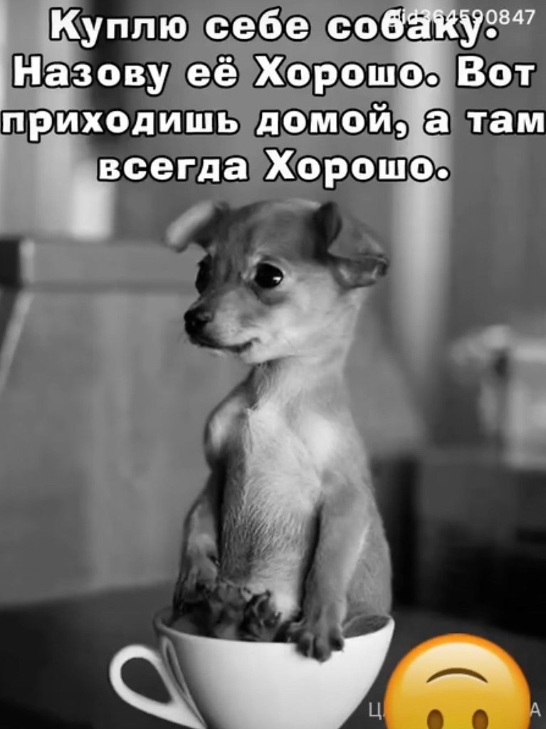  - 9  2025  22:09