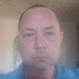 �������, ������, 41 ���