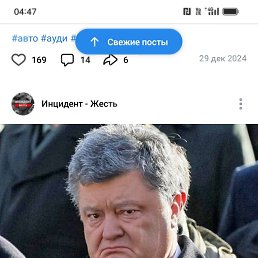 ���� �����, �������, 40 ��� - ��������� 25 ������� 2025