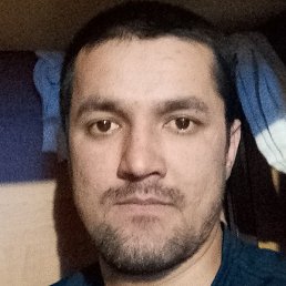 ������, ������, 41 ���