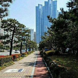 Sh, �������, 32 ����