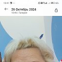  , -, 61  -  16  2025    