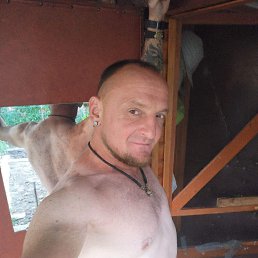 , 41 , 