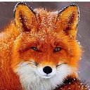 ���� �., �������� - ��������� 5 ������� 2026 � ������ ������ ��������