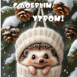 ���� ������, �����-��������� - ��������� 27 ������� 2025