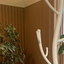 �������, ������, 50 ���