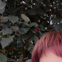 ����, ��������, 46 ���