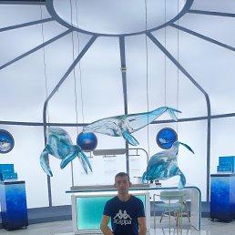 �������, 43 ����, �����-���������