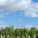  , -, 52  -  25  2024    