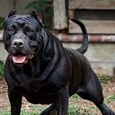 ���� �������, ������, 48 ��� - ��������� 8 ������� 2024 � ������ ���� ����������