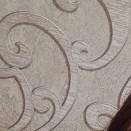 �������, ������, 48 ���