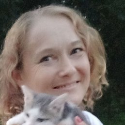 ��������, �����, 44 ����