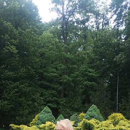 ���� �����, �����, 38 ��� - ��������� 17 ������� 2026