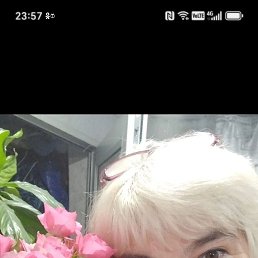 ���� �����, ���������, 60 ��� - ��������� 2 ������� 2026