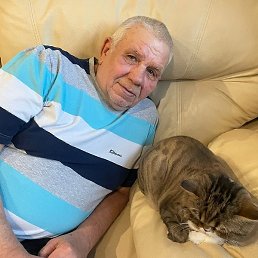 ���������., �����������