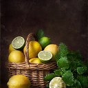 ���� ����, ��������� - ��������� 4 ���� 2024 � ������ ���� ����������