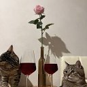 ���� ������, ����� - ��������� 23 ��� 2026 � ������ ������ ��������