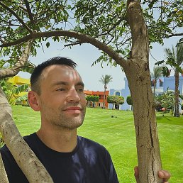 ���������, �����, 33 ����