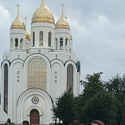 �����, ������, 43 ����