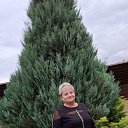 ���� �����, �������, 59 ��� - ��������� 7 ������� 2026 � ������ ���� ����������