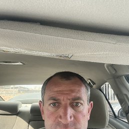 , 41, 