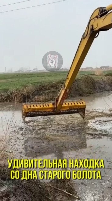 ������� ������, ���� ����� ������� ������)
