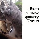 ���� �������, ������ �������� - ��������� 12 ����� 2026 � ������ ������ ��������
