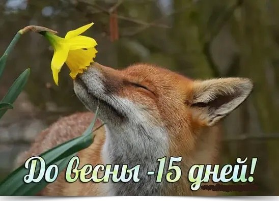     ,     ,    ,    ...