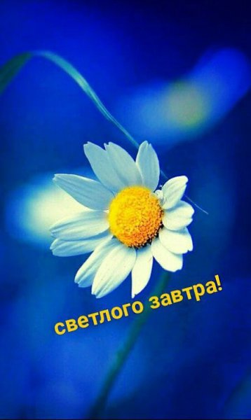   ,    . - 15  2024  20:29 - 2
