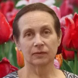 ����, �����-���������