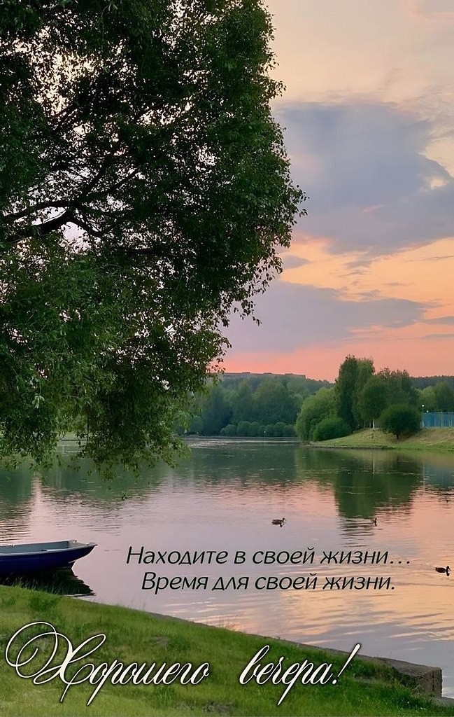   - 31  2025  19:01