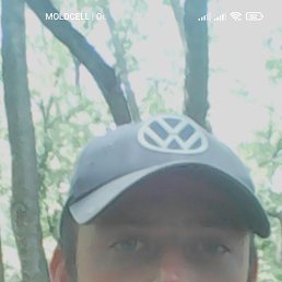  , 38, 