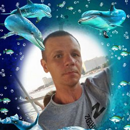 ���� �������, ������, 43 ���� - ��������� 26 ������� 2025