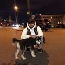 ���� ������, ������, 27 ��� - ��������� 8 ����� 2026 � ������ ���� ����������