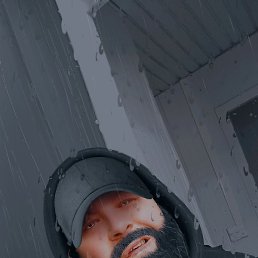 ����, ������, 43 ����