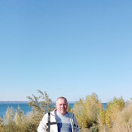 , 55, 