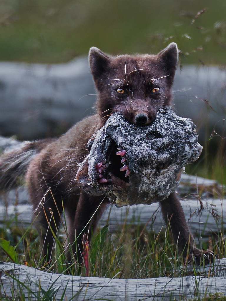     .        :     ... - 10