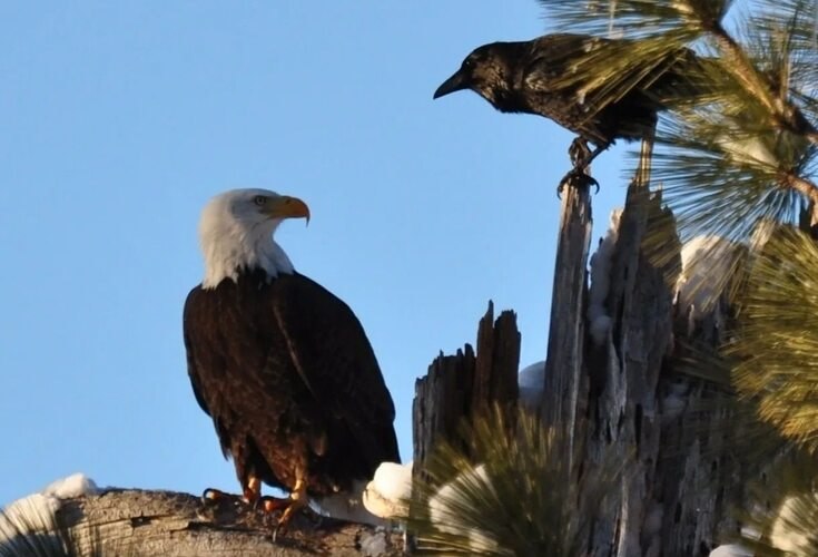     : , -,        ,   ...